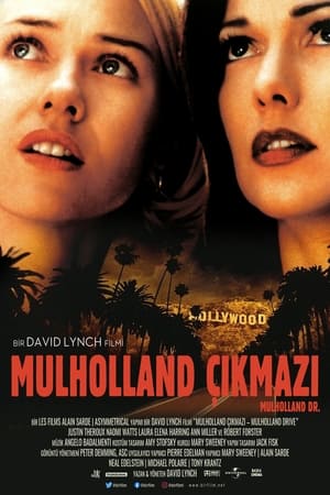 Mulholland Çıkmazı