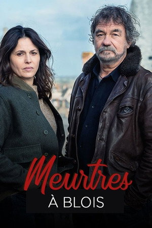 Murder in Blois 10