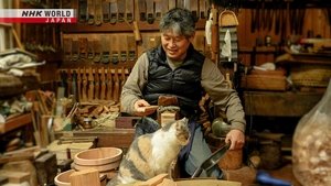 Journeys in Japan: 13×23
