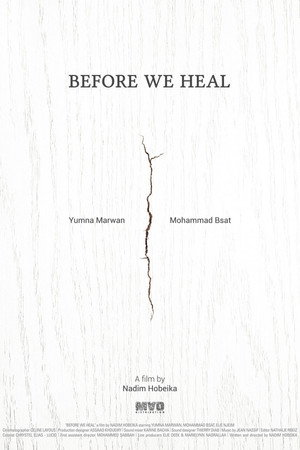 Before We Heal (2018)