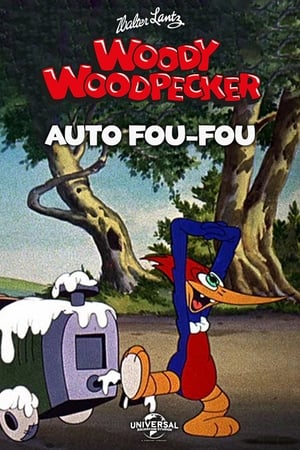 Poster Auto Fou Fou 1941