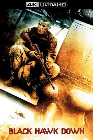 poster Black Hawk Down