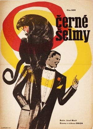 Poster Black Panthers (1966)