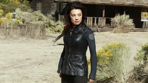 Marvel’s Agents of S.H.I.E.L.D.: 1×11