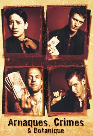 <Images posters