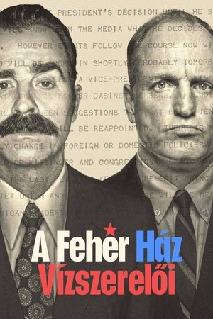 Image A Fehér Ház vízszerelői