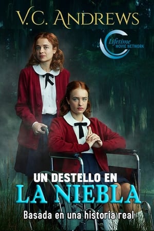 Poster Un destello en la niebla 2021