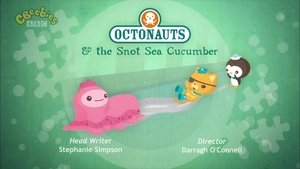 The Octonauts Season 1 Episode 20