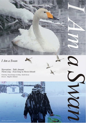 I Am a Swan