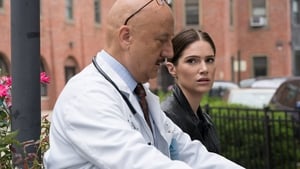 New Amsterdam: s2 e5 PL