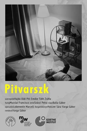 Poster Pitvarszk 2022