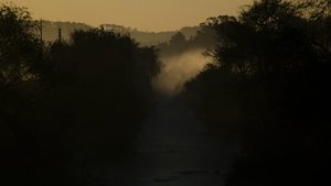 Beyond the Water's Edge