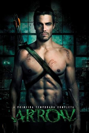 Arrow 1ª Temporada Torrent Arrow 1ª Temporada Torrent, Download, movie, filme, poster