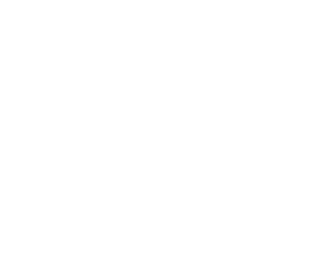 O Leopardo — Logos 2