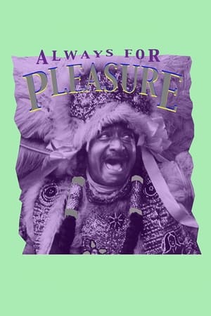 Poster Always for Pleasure 1978