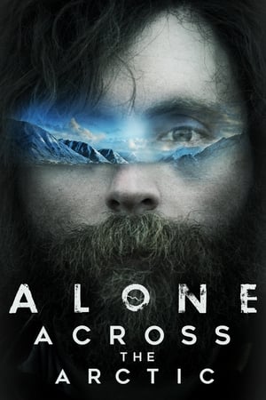 Poster Alone Across the Arctic (2019)