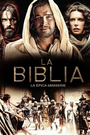 Poster La Biblia En El Principio 2013