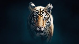 Dynasties: 1×5, episod online subtitrat