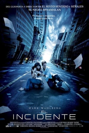 Poster El incidente 2008