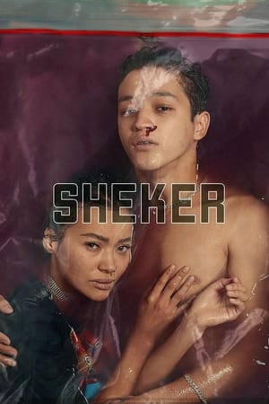 Poster Sheker (2020)