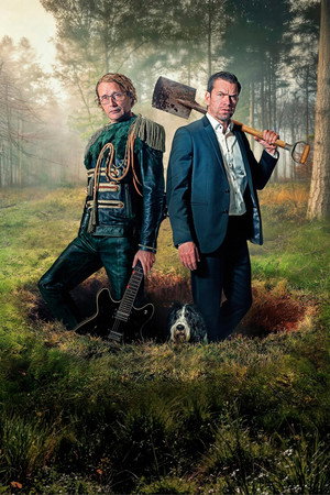 poster The Last Viking