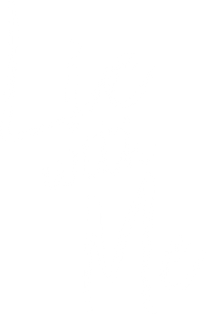 Lie with Me