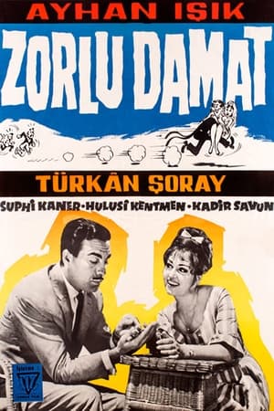 Zorlu Damat poster