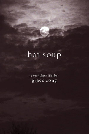 Bat Soup 2