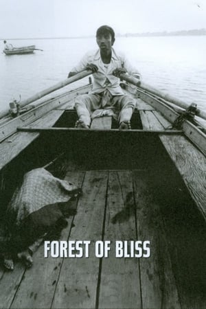 Poster di Forest of Bliss