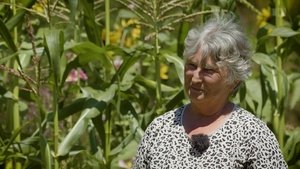 An organic garden