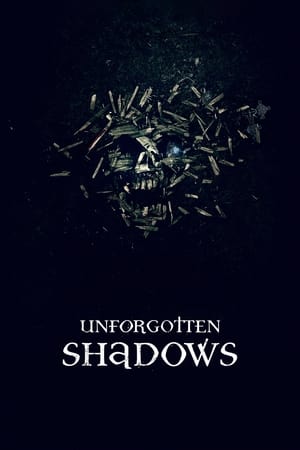 Poster Unforgotten Shadows 2013