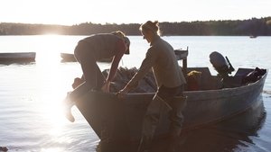 From the Source Oysters