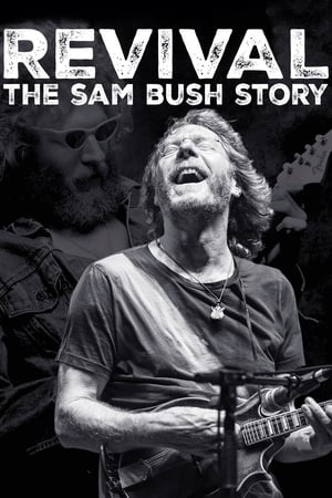 Poster Revival: The Sam Bush Story (2015)