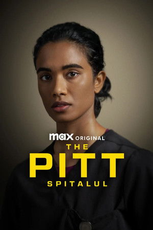 Image The Pitt: Spitalul