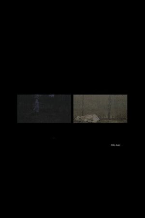 Ikke-dager