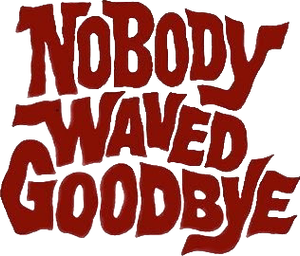 Nobody Waved Goodbye
