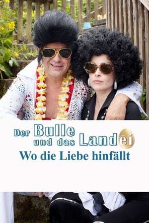 Poster Der Bulle und das Landei - Wo die Liebe hinfällt (2015)