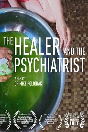 The Healer and the Psychiatrist (2019)