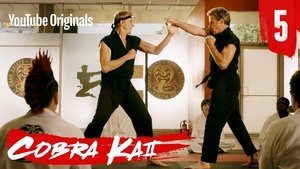 Cobra Kai: 2 Staffel 5 Folge