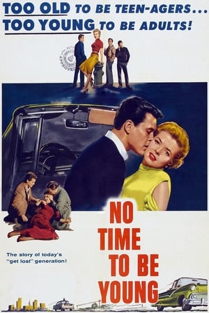 No Time to Be Young poster