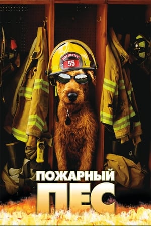 Image Пожарный пёс
