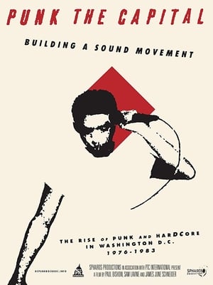 Punk the Capital: Building a Sound Movement poster