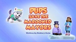 Image Pups Save the Marooned Mayors