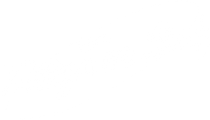 Raízes no Surf