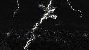 Frankenweenie 36