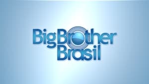 poster Big Brother Brasil