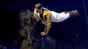 Les Folies Gruss, 50 ans à Paris