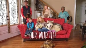 poster Our Wild Life