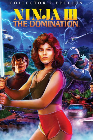 Постер фильма «Ниндзя III: Господство (1984)» — (14 из 32)