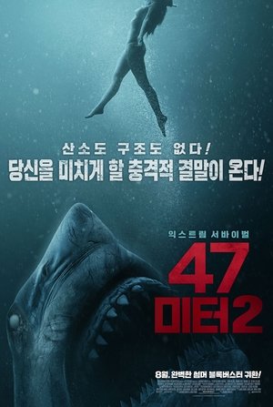 47 미터 2 (2019)